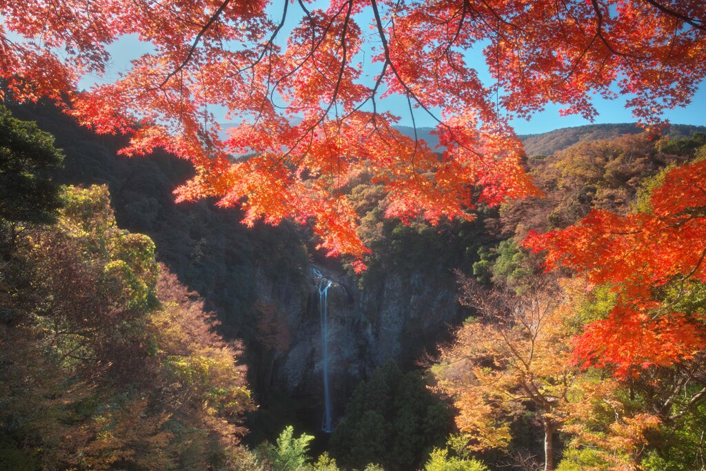 深紅の窓から望む滝景