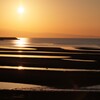 恋叶ロードの夕日