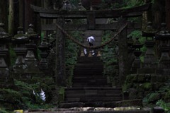 静かに佇む鳥居