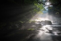 光の糸を紡ぐ渓流