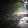 光の糸を紡ぐ渓流