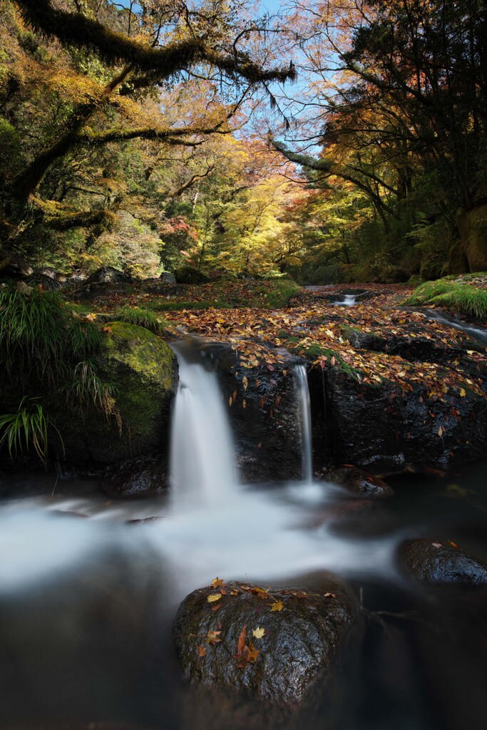 静流に寄り添う秋の彩り