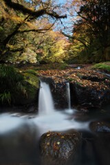 静流に寄り添う秋の彩り
