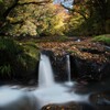 静流に寄り添う秋の彩り