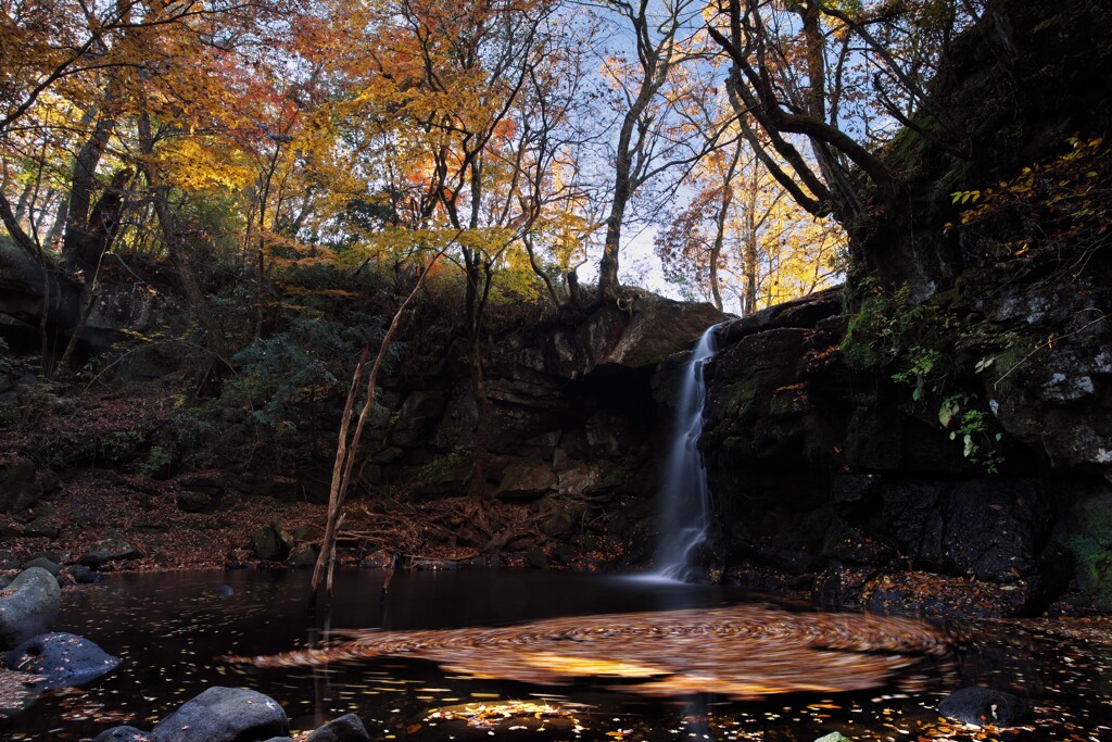 静寂にほどける落葉の旋律