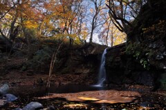 静寂にほどける落葉の旋律