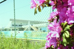 2010.06