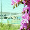2010.06