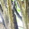 2010.07