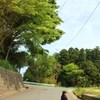 2010.06