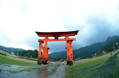 厳島神社大鳥居