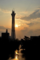 スカイツリーと夕日