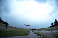 厳島神社大鳥居２