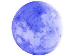 Tycho Moon