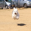 JUMP！！①