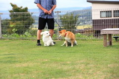おっかなびっくり！