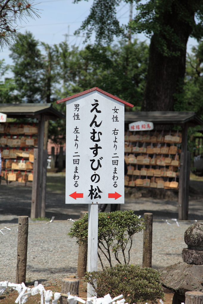 阿蘇神社はえんむすびの神様！？