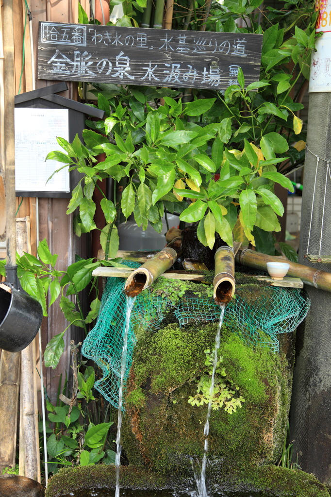 おもしろ看板シリーズ④