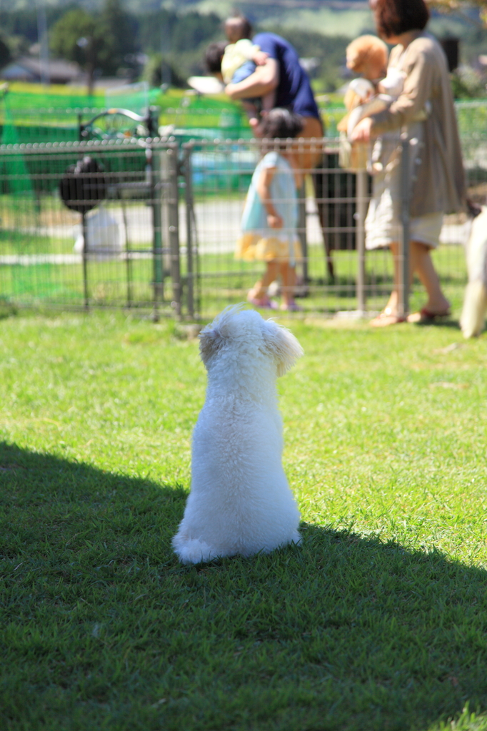 さびしいな～