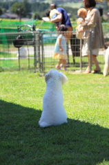 さびしいな～