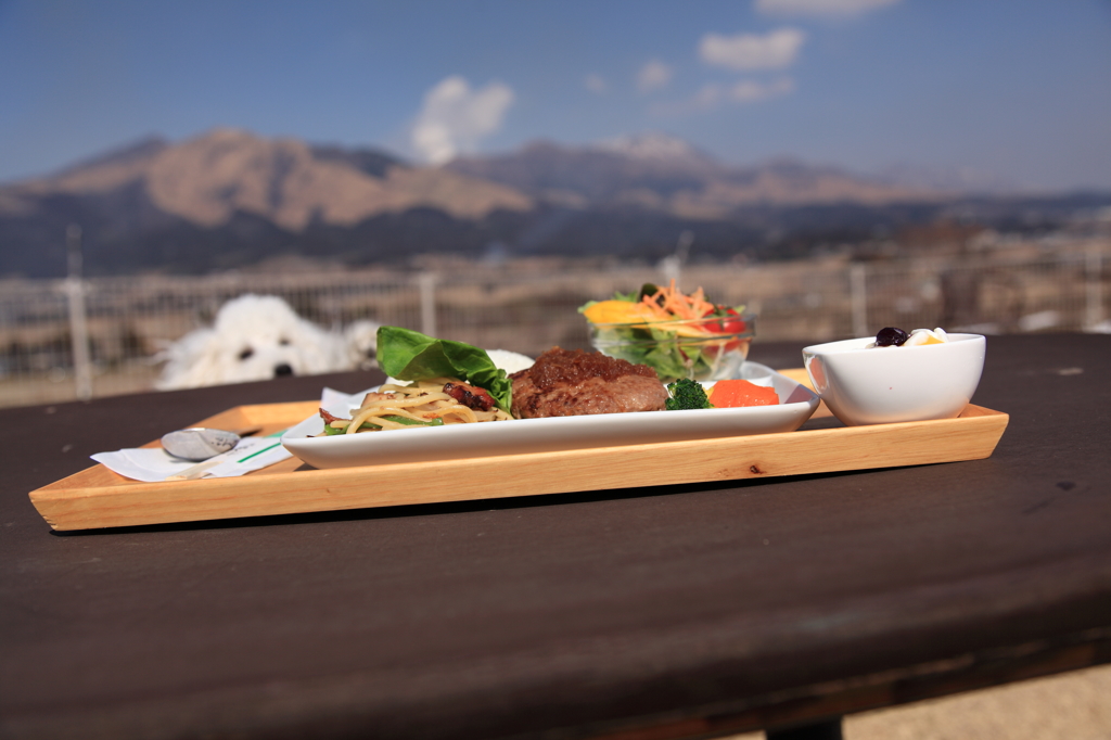 【南を翔る風】の赤牛ハンバーグランチ