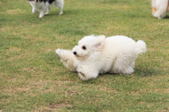 変なポーズ！？