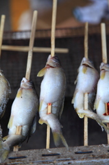 杖立温泉の鯉のぼり祭り②