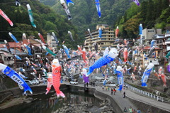 杖立温泉の鯉のぼり祭り①