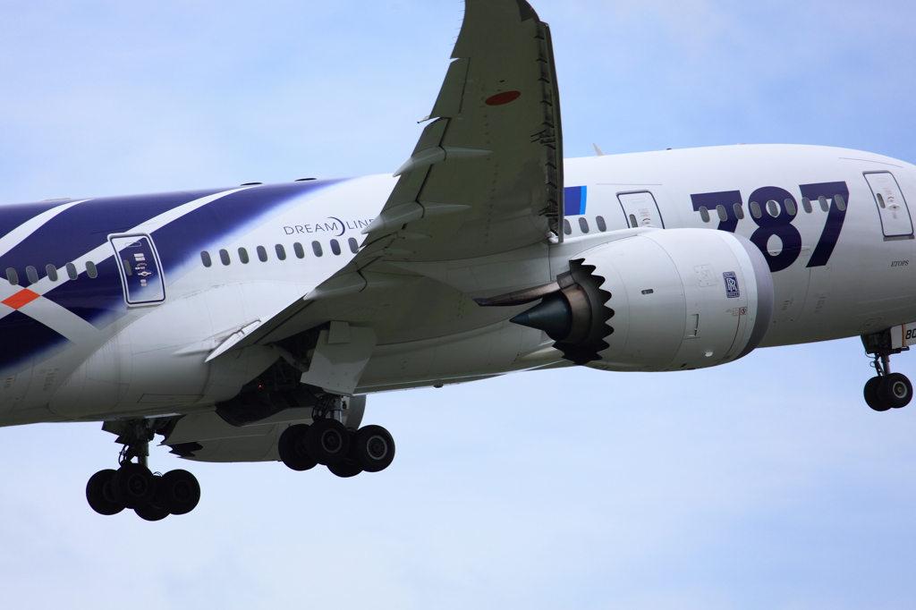 ギザギザがいい！！