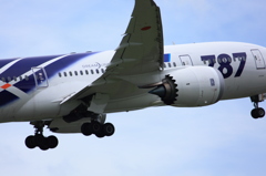 ギザギザがいい！！