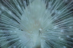 wind is blowing from the Asia～♪