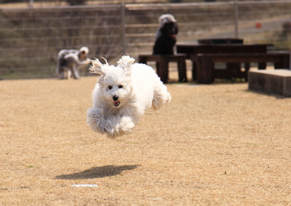 JUMP！！③
