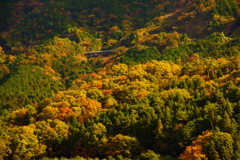 DSC03671