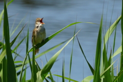 DSC02050