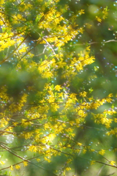 DSC07631