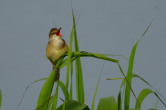 DSC01978