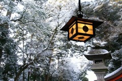 冬の明かり