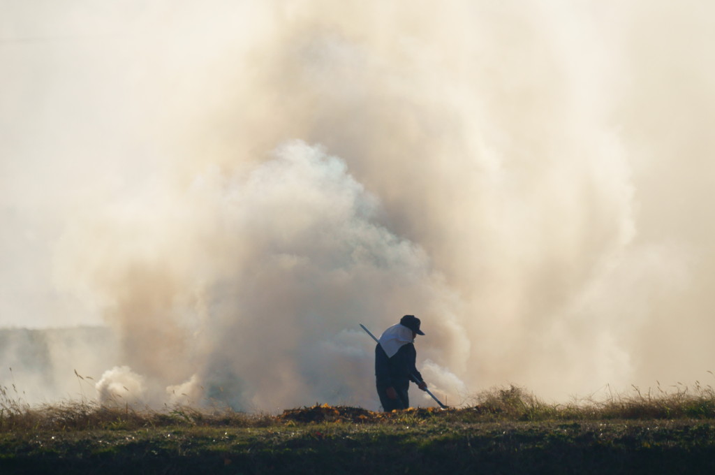 野焼き