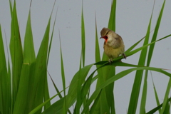 DSC01824