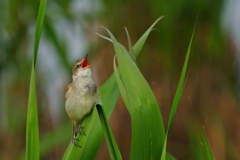 DSC01847