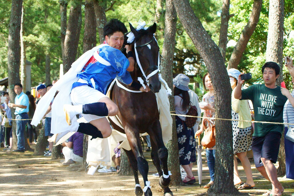DSC04426