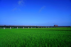 大洗鹿島線