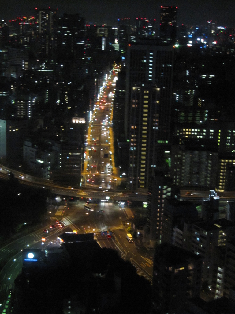 東京タワーからの東京タワー