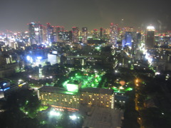 東京タワーからの夜景