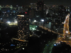 東京タワーからの夜景２