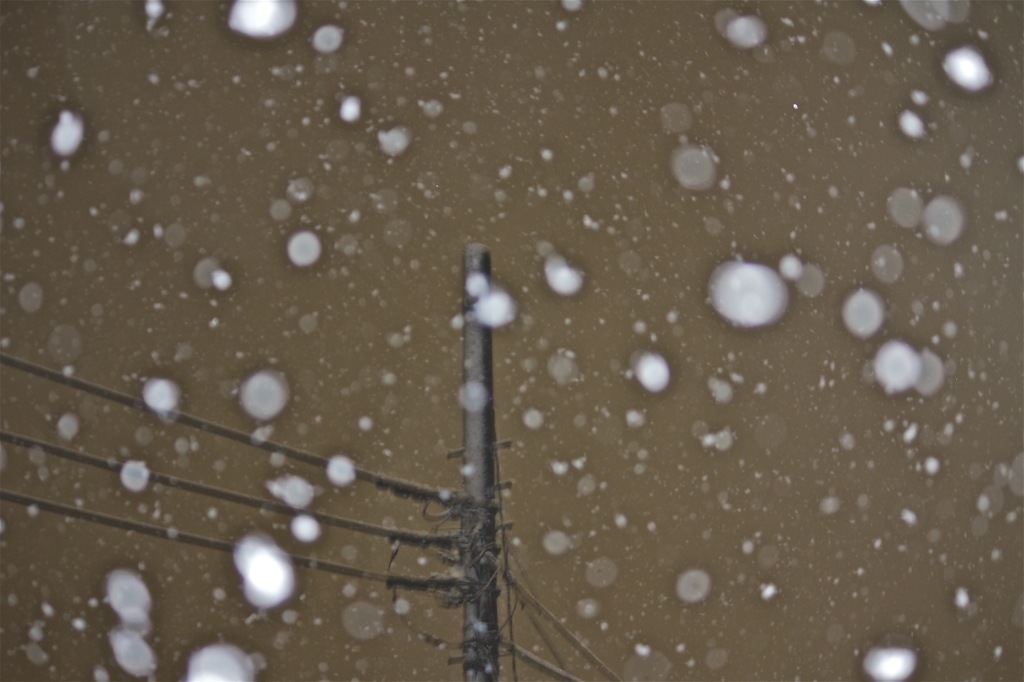 粉雪 ねぇ〜