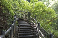 高尾山　稲荷山コース　まずは階段登り
