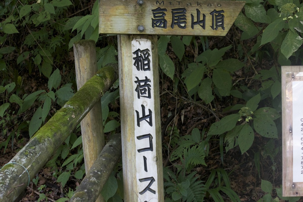 高尾山　いや、私はのぼる！