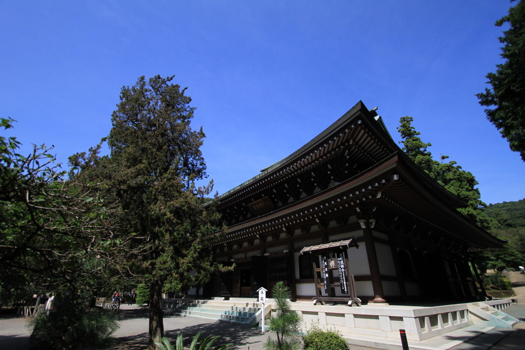 夏の鎌倉 円覚寺