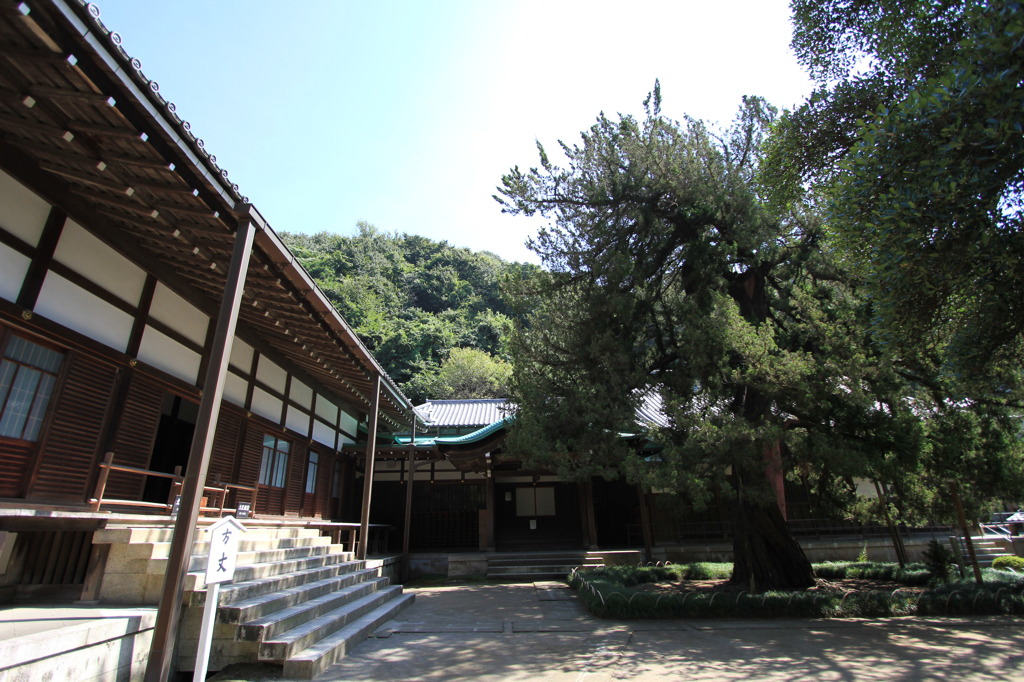 079 円覚寺